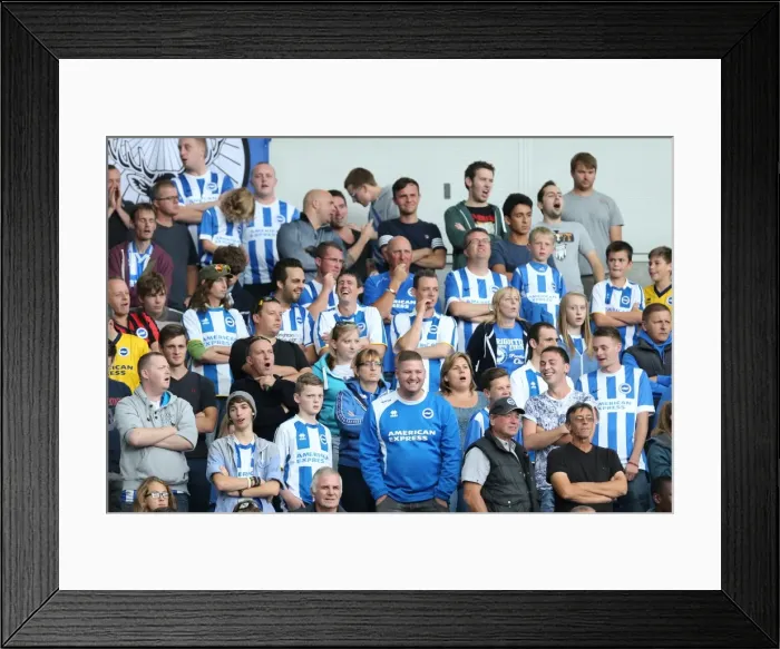 Framed Print : Brighton & Hove Albion vs. Bolton Wanderers: 2014-15 Season Home Game