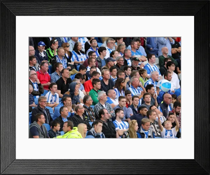 Framed Print : Brighton & Hove Albion vs. Bolton Wanderers: 2014-15 Season Home Game