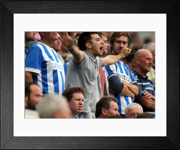 Framed Print : Brighton & Hove Albion 2014-15: Home Game vs. Bolton Wanderers (August 23)