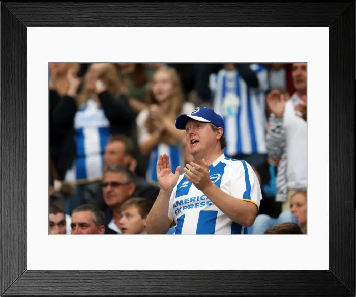 Framed Print : Brighton & Hove Albion 2014-15: Home Game vs. Bolton Wanderers (August 23) Framed Print : Brighton & Hove Albion 2014-15: Home Game vs. Bolton Wanderers (August 23)