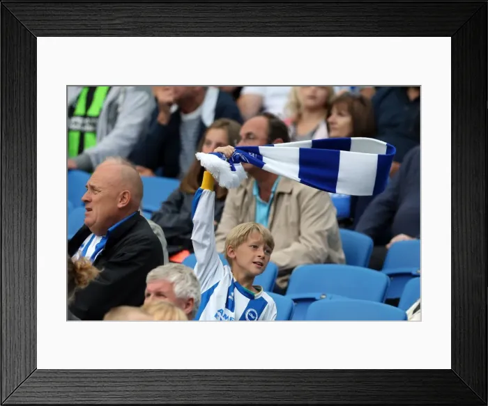 Framed Print : Brighton & Hove Albion vs. Bolton Wanderers: 2014-15 Season Home Game Framed Print : Brighton & Hove Albion vs. Bolton Wanderers: 2014-15 Season Home Game