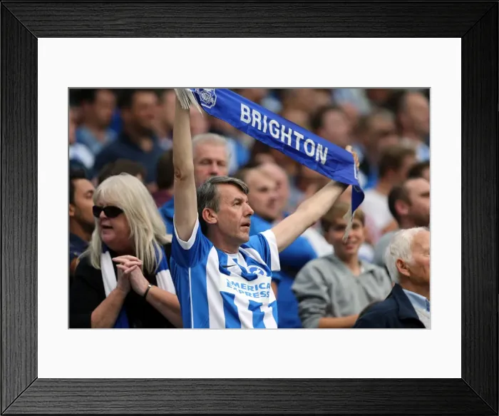 Framed Print : Brighton & Hove Albion 2014-15: Home Game vs. Bolton Wanderers (August 23) Framed Print : Brighton & Hove Albion 2014-15: Home Game vs. Bolton Wanderers (August 23)