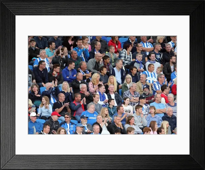 Framed Print : Brighton & Hove Albion 2014-15: Home Game vs. Bolton Wanderers (August 23, 2014) Framed Print : Brighton & Hove Albion 2014-15: Home Game vs. Bolton Wanderers (August 23, 2014)