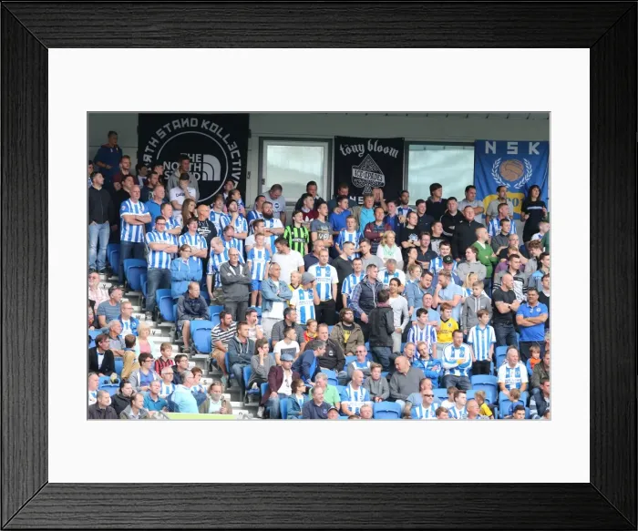 Framed Print : Brighton & Hove Albion vs. Bolton Wanderers: 2014-15 Season Home Game