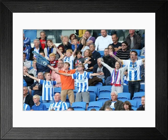 Framed Print : Brighton & Hove Albion 2014-15: Home Game vs. Bolton Wanderers (August 23) Framed Print : Brighton & Hove Albion 2014-15: Home Game vs. Bolton Wanderers (August 23)