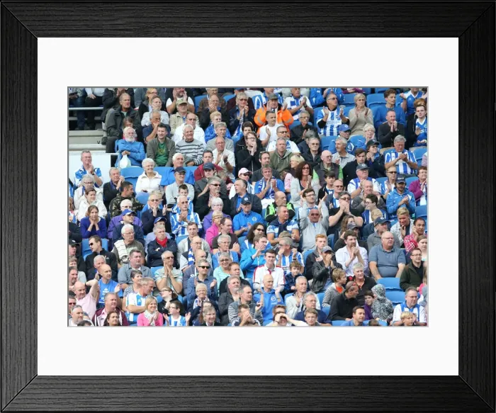 Framed Print : Brighton & Hove Albion vs. Bolton Wanderers: 2014-15 Season Home Game