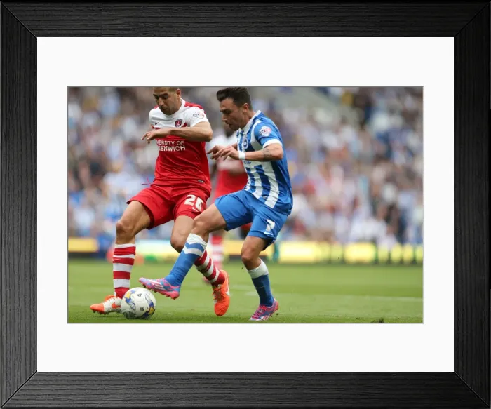 Framed Print : Brighton & Hove Albion 2014-15: Home Game vs Charlton Athletic (30 / 08 / 14)