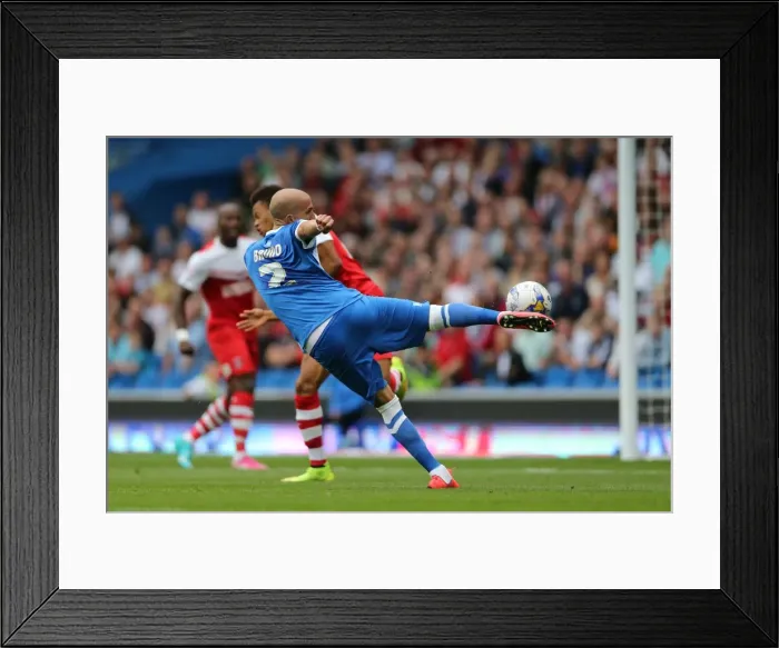 Framed Print : Brighton & Hove Albion 2014-15: Home Game vs Charlton Athletic (August 30, 2014)