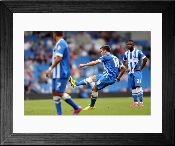 Framed Print : Brighton & Hove Albion 2014-15: Home Game vs Charlton Athletic (August 30)
