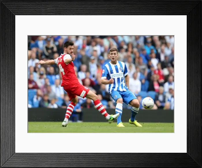 Framed Print : Brighton & Hove Albion 2014-15: Home Game vs Charlton Athletic (August 30, 2014) Framed Print : Brighton & Hove Albion 2014-15: Home Game vs Charlton Athletic (August 30, 2014)