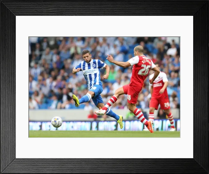 Framed Print : Brighton & Hove Albion 2014-15: Home Game vs Charlton Athletic (August 30, 2014) Framed Print : Brighton & Hove Albion 2014-15: Home Game vs Charlton Athletic (August 30, 2014)