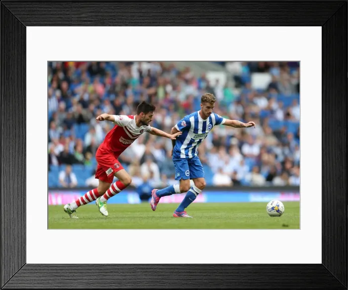 Framed Print : Brighton & Hove Albion 2014-15: Home Match against Charlton (August 30) Framed Print : Brighton & Hove Albion 2014-15: Home Match against Charlton (August 30)