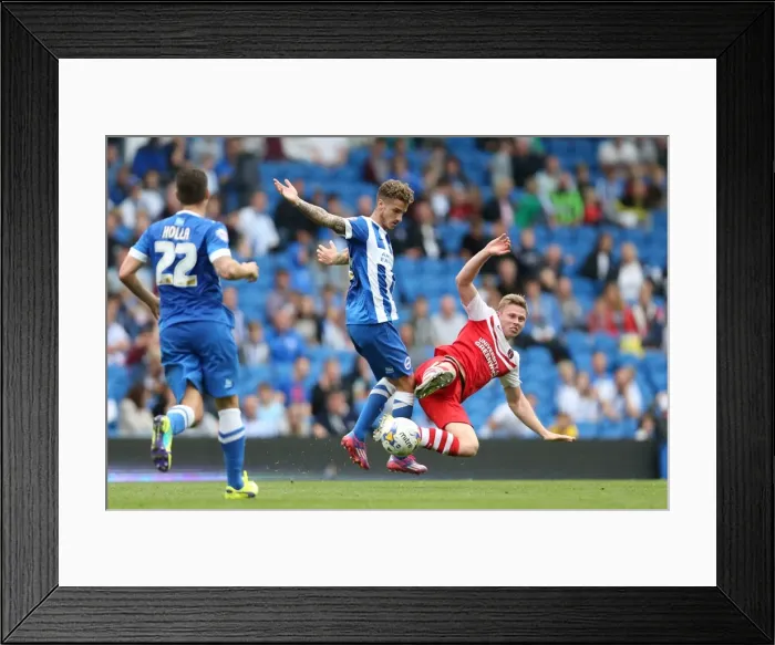 Framed Print : Brighton & Hove Albion 2014-15: Home Game vs Charlton Athletic (August 30, 2014) Framed Print : Brighton & Hove Albion 2014-15: Home Game vs Charlton Athletic (August 30, 2014)
