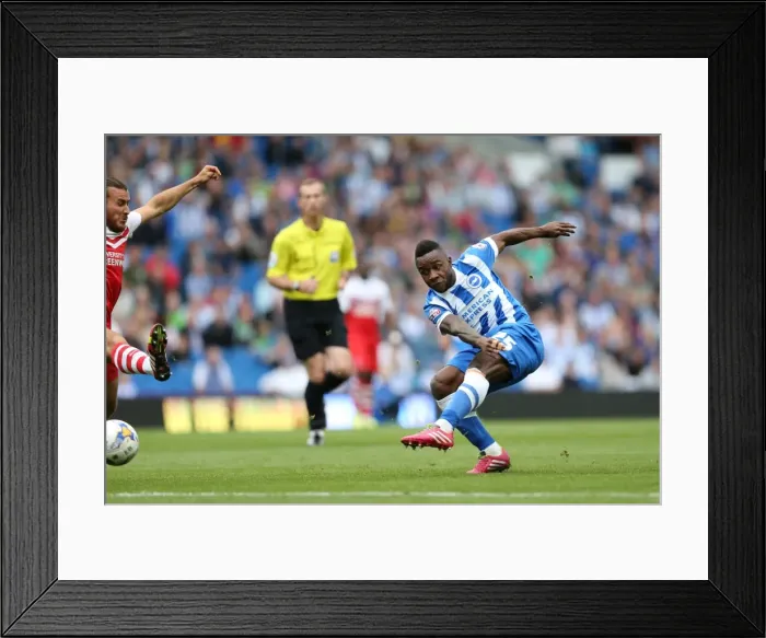 Framed Print : Brighton & Hove Albion 2014-15: Home Game vs Charlton Athletic (August 30) Framed Print : Brighton & Hove Albion 2014-15: Home Game vs Charlton Athletic (August 30)