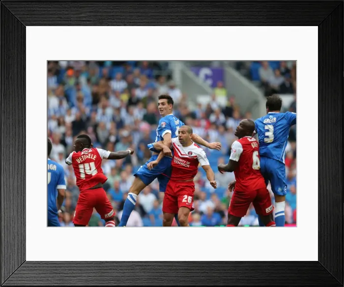 Framed Print : Brighton & Hove Albion 2014-15: Home Game vs Charlton Athletic (August 30, 2014) Framed Print : Brighton & Hove Albion 2014-15: Home Game vs Charlton Athletic (August 30, 2014)