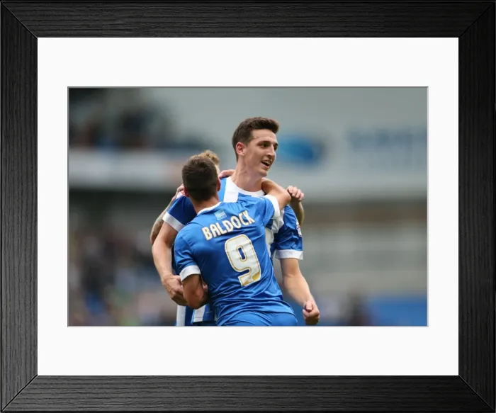 Framed Print : Brighton & Hove Albion 2014-15: Home Game vs Charlton Athletic (August 30) Framed Print : Brighton & Hove Albion 2014-15: Home Game vs Charlton Athletic (August 30)