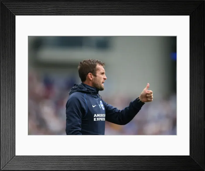 Framed Print : Brighton & Hove Albion 2014-15: Home Game vs Charlton Athletic (30 / 08 / 14) Framed Print : Brighton & Hove Albion 2014-15: Home Game vs Charlton Athletic (30 / 08 / 14)