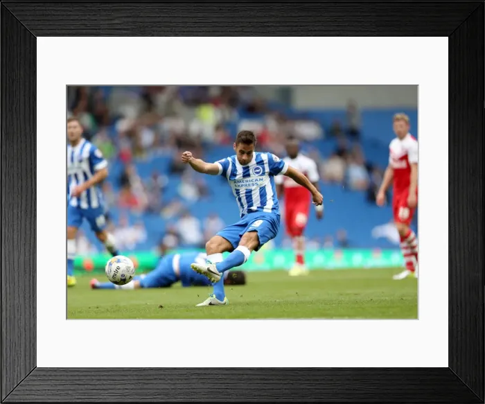 Framed Print : Brighton & Hove Albion 2014-15: Home Game vs Charlton Athletic (30 / 08 / 14)