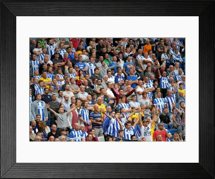 Framed Print : Brighton & Hove Albion 2014-15: Home Game vs Charlton Athletic (August 30) Framed Print : Brighton & Hove Albion 2014-15: Home Game vs Charlton Athletic (August 30)