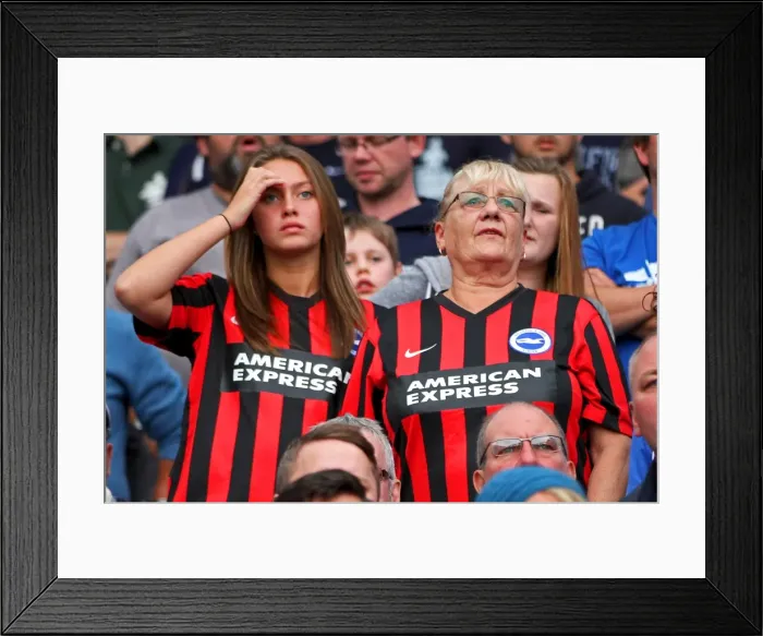Framed Print : Brighton & Hove Albion 2014-15: Home Game vs Charlton Athletic (August 30, 2014) Framed Print : Brighton & Hove Albion 2014-15: Home Game vs Charlton Athletic (August 30, 2014)