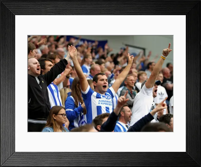 Framed Print : Brighton & Hove Albion 2014-15: Home Game vs Charlton Athletic (August 30, 2014) Framed Print : Brighton & Hove Albion 2014-15: Home Game vs Charlton Athletic (August 30, 2014)