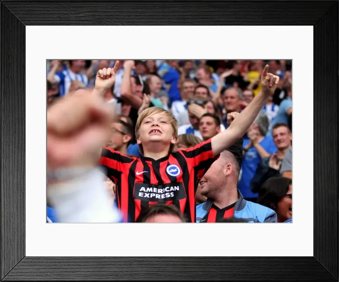 Framed Print : Brighton & Hove Albion 2014-15: Home Game vs Charlton Athletic (August 30)