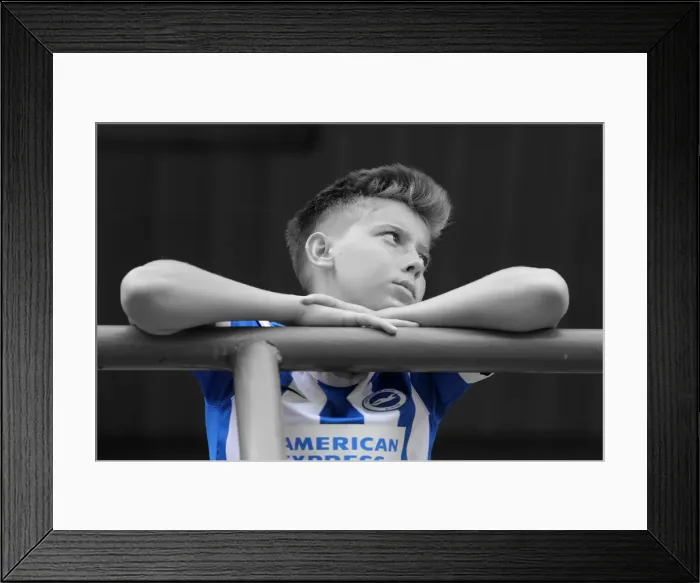 Framed Print : Brighton & Hove Albion 2014-15: Away Game at Brentford (September 13, 2014) Framed Print : Brighton & Hove Albion 2014-15: Away Game at Brentford (September 13, 2014)