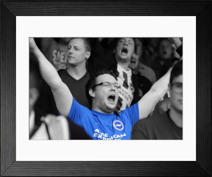 Framed Print : Brighton & Hove Albion 2014-15: Away Game at Brentford (September 13, 2014) Framed Print : Brighton & Hove Albion 2014-15: Away Game at Brentford (September 13, 2014)