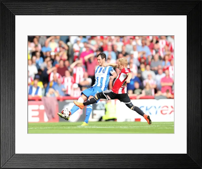 Framed Print : Brighton & Hove Albion 2014-15: Away Game at Brentford (September 13, 2014) Framed Print : Brighton & Hove Albion 2014-15: Away Game at Brentford (September 13, 2014)