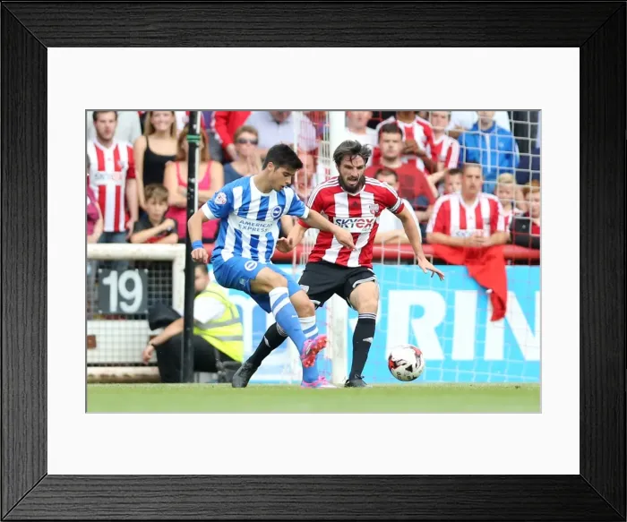 Framed Print : Brighton & Hove Albion 2014-15: Away Game at Brentford (September 13, 2014) Framed Print : Brighton & Hove Albion 2014-15: Away Game at Brentford (September 13, 2014)