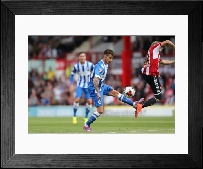 Framed Print : Brighton & Hove Albion 2014-15: Away Game at Brentford (September 13, 2014) Framed Print : Brighton & Hove Albion 2014-15: Away Game at Brentford (September 13, 2014)