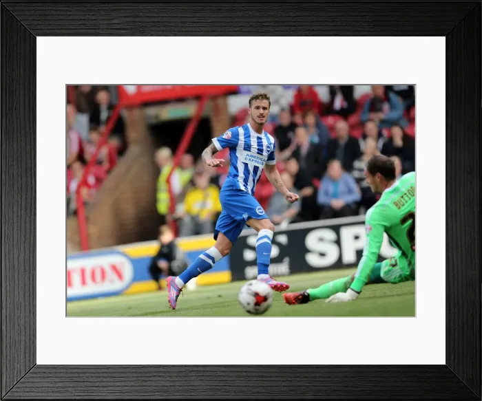 Framed Print : Brighton & Hove Albion 2014-15: Away Game at Brentford (September 13, 2014)
