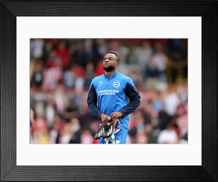 Framed Print : Brighton & Hove Albion 2014-15: Away Game at Brentford (September 13, 2014) Framed Print : Brighton & Hove Albion 2014-15: Away Game at Brentford (September 13, 2014)