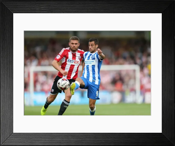 Framed Print : Brighton & Hove Albion at Brentford: Away Game, September 13, 2014 Framed Print : Brighton & Hove Albion at Brentford: Away Game, September 13, 2014