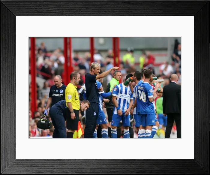 Framed Print : Brighton and Hove Albion at Brentford: Away Game, September 13, 2014 Framed Print : Brighton and Hove Albion at Brentford: Away Game, September 13, 2014