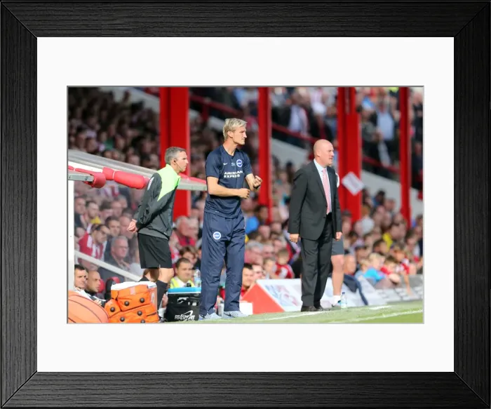 Framed Print : Brighton & Hove Albion 2014-15: Away Game at Brentford (September 13, 2014)
