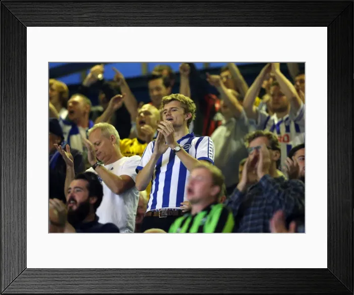 Framed Print : Brighton & Hove Albion vs Ipswich Town: 16 September 2014 (Away Game) Framed Print : Brighton & Hove Albion vs Ipswich Town: 16 September 2014 (Away Game)