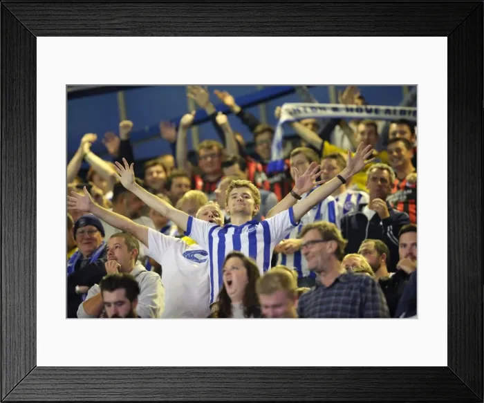 Framed Print : Brighton & Hove Albion at Ipswich Town (16SEP14) - Away Game, 2014-15 Season Framed Print : Brighton & Hove Albion at Ipswich Town (16SEP14) - Away Game, 2014-15 Season
