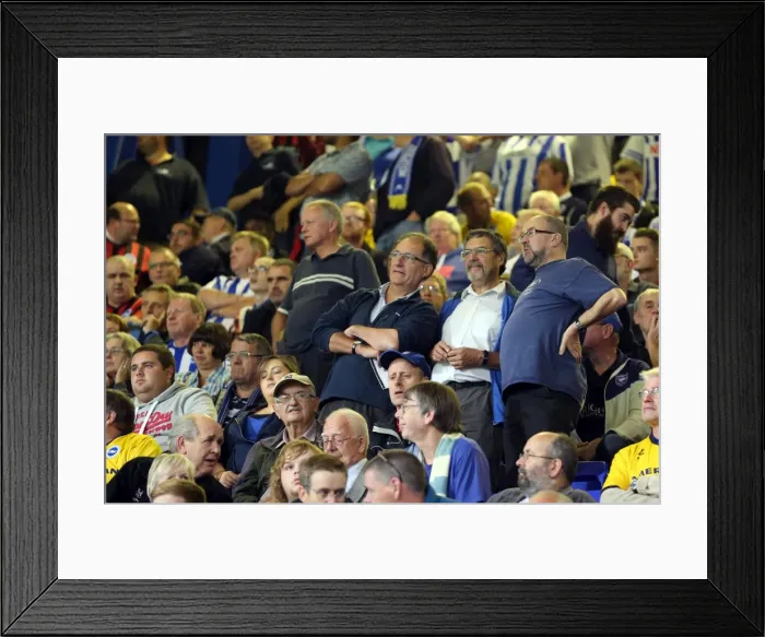 Framed Print : Brighton & Hove Albion vs Ipswich Town: 16 September 2014 - Away Game, Season 2014-15 Framed Print : Brighton & Hove Albion vs Ipswich Town: 16 September 2014 - Away Game, Season 2014-15