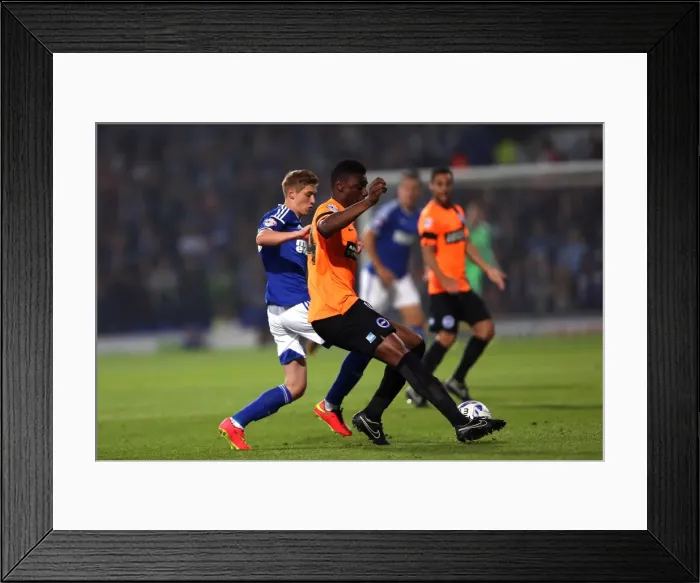 Framed Print : Brighton & Hove Albion vs Ipswich Town: 16 September 2014 - Away Game, Season 2014-15