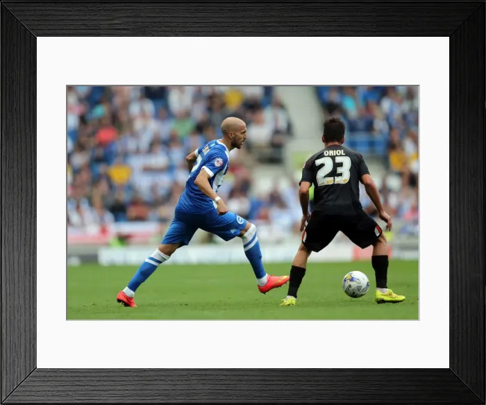 Framed Print : Brighton & Hove Albion vs. Blackpool: 2014-15 Season Home Game Framed Print : Brighton & Hove Albion vs. Blackpool: 2014-15 Season Home Game