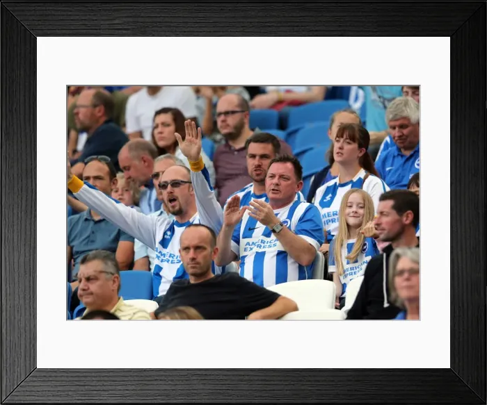Framed Print : Brighton & Hove Albion vs. Blackpool: 2014-15 Season Home Game Framed Print : Brighton & Hove Albion vs. Blackpool: 2014-15 Season Home Game