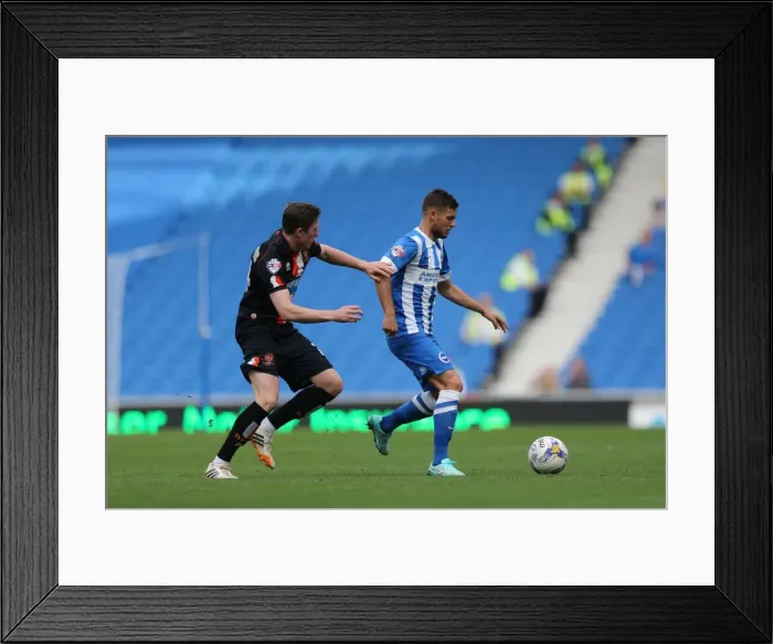 Framed Print : Brighton & Hove Albion vs. Blackpool: 2014-15 Season Home Game Framed Print : Brighton & Hove Albion vs. Blackpool: 2014-15 Season Home Game