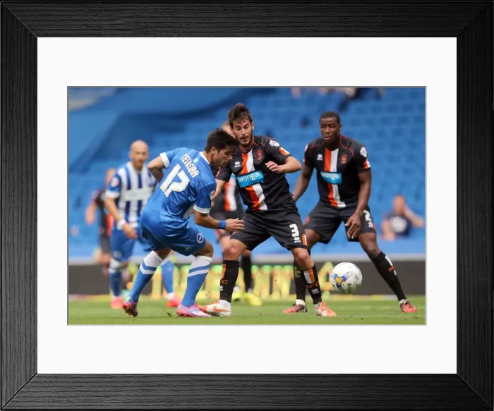 Framed Print : Brighton & Hove Albion vs. Blackpool: 2014-15 Season Home Game Framed Print : Brighton & Hove Albion vs. Blackpool: 2014-15 Season Home Game