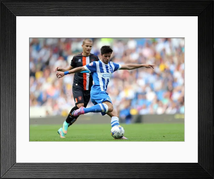 Framed Print : Brighton & Hove Albion vs. Blackpool: 2014-15 Season Home Game Framed Print : Brighton & Hove Albion vs. Blackpool: 2014-15 Season Home Game