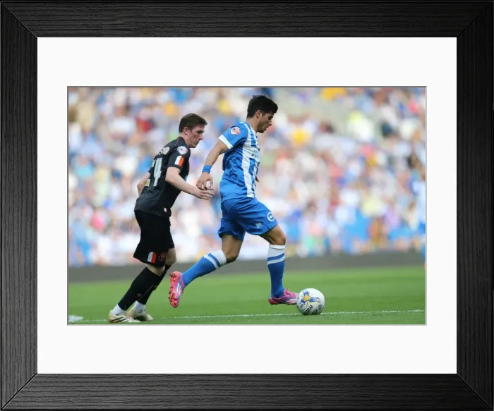 Framed Print : Brighton & Hove Albion vs. Blackpool: 2014-15 Season Home Game Framed Print : Brighton & Hove Albion vs. Blackpool: 2014-15 Season Home Game