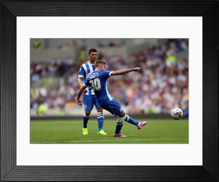 Framed Print : Brighton & Hove Albion vs. Blackpool: 2014-15 Season Home Game Framed Print : Brighton & Hove Albion vs. Blackpool: 2014-15 Season Home Game