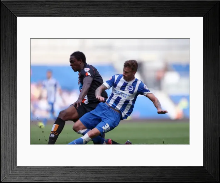 Framed Print : Brighton & Hove Albion vs. Blackpool: 2014-15 Season Home Game Framed Print : Brighton & Hove Albion vs. Blackpool: 2014-15 Season Home Game