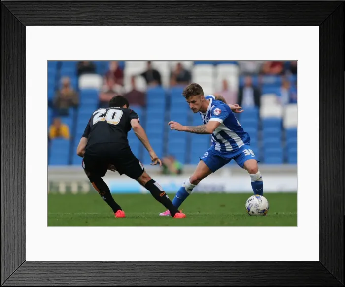 Framed Print : Brighton & Hove Albion vs. Blackpool: 2014-15 Season Home Game Framed Print : Brighton & Hove Albion vs. Blackpool: 2014-15 Season Home Game