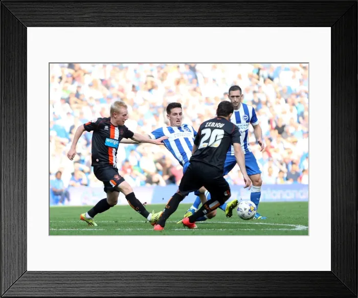 Framed Print : Brighton & Hove Albion vs. Blackpool: 2014-15 Season Home Game Framed Print : Brighton & Hove Albion vs. Blackpool: 2014-15 Season Home Game